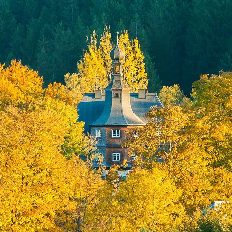 Internat Birklehof im Herbst zum Thema Internat in Deutschland